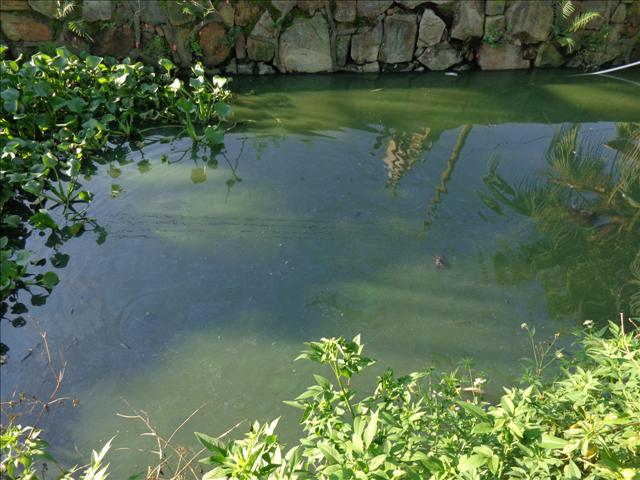 城市河道污染原因及治理措施