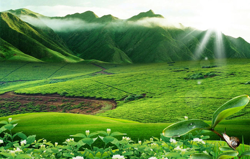 廣東省生態(tài)環(huán)境廳審批環(huán)境影響評價文件的建設(shè)項(xiàng)目名錄(2019年本)