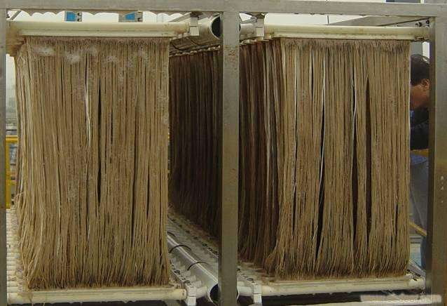 MBR膜如何選型？膜組件如何清洗？MBR知識分享