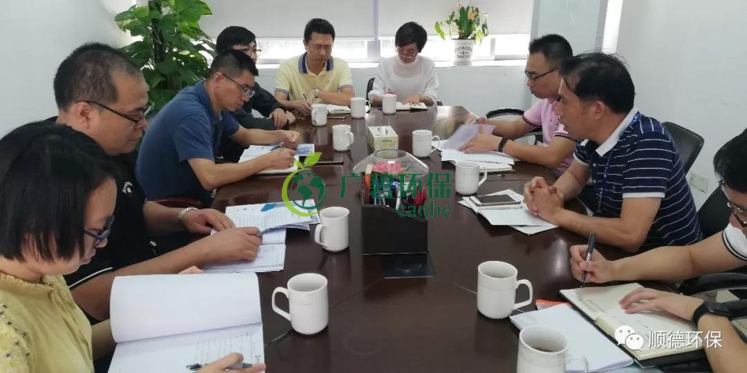 佛山市生態環境局陳振華副局長來順德開展“不忘初心、牢記使命”主題教育現場調研(圖4)
