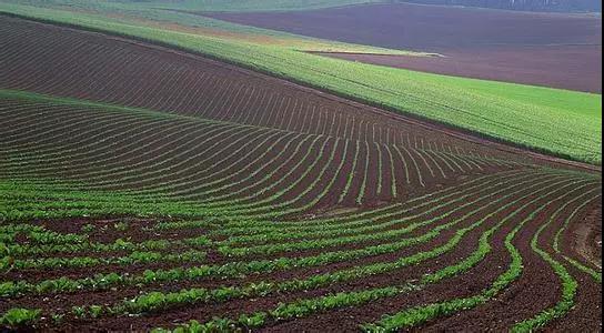 土壤檢測標準取樣方式,越標準結果越準確