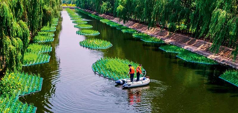 部分黑臭水體出現(xiàn)反彈，治理難在哪兒？(圖2)