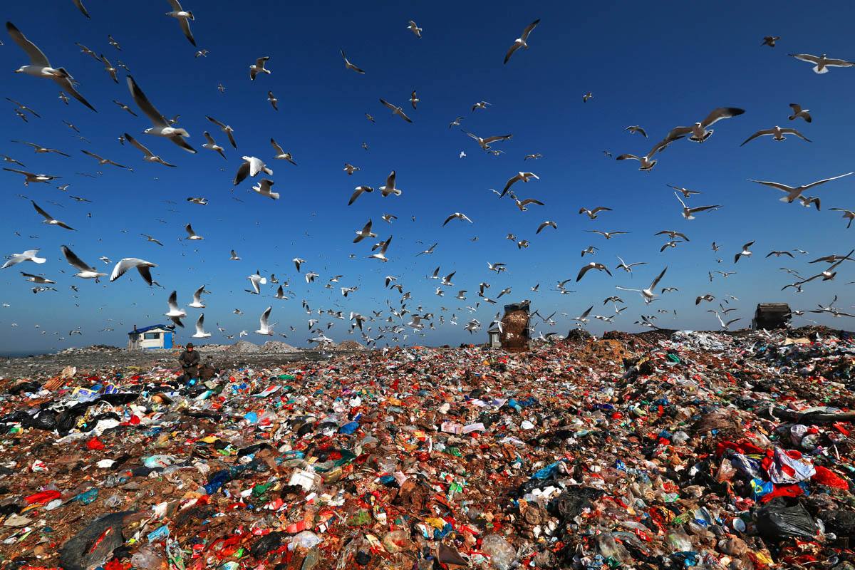 被嚴重低估的海洋塑料微粒數量(圖2) 被嚴重低估的海洋塑料微粒數量(圖2)