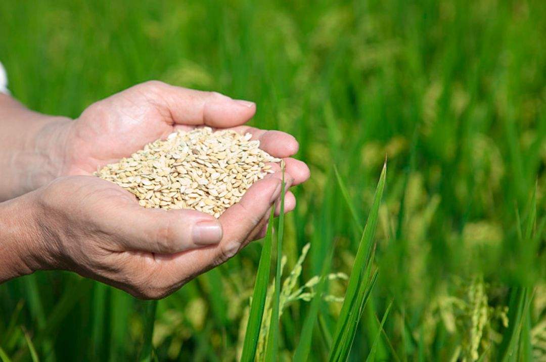 土壤修復市場，該火了！(圖3)