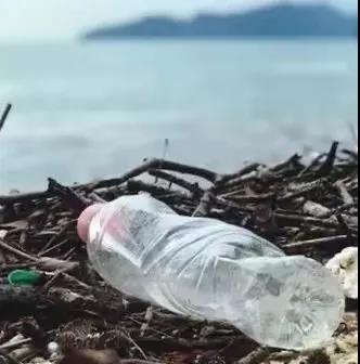 世界地球日|珍愛地球,人與自然和諧共生(圖8) 世界地球日|珍愛地球,人與自然和諧共生(圖8)